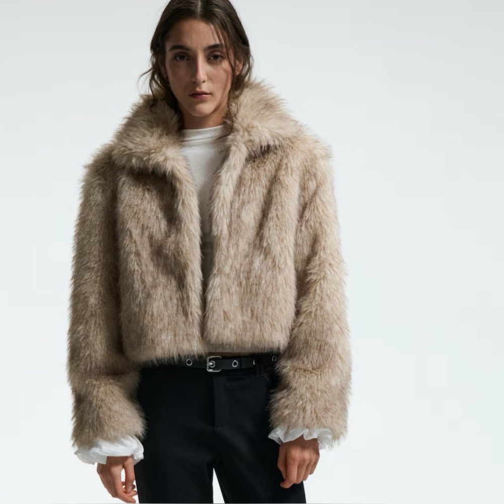 H&M Women’s Faux Fur Coat